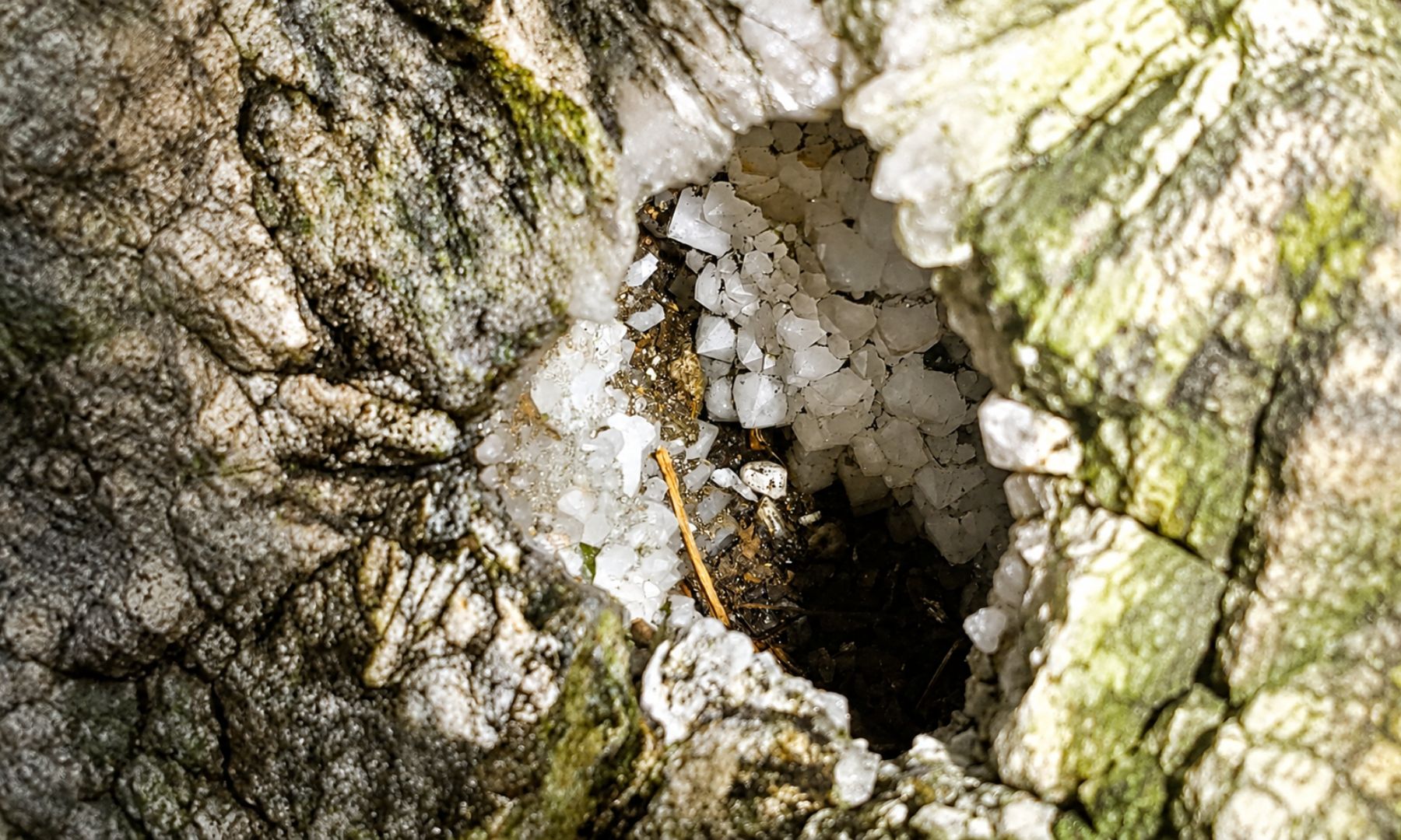 天然の岩の割れ目に形成された本物のクリスタル水晶を間近で観察
